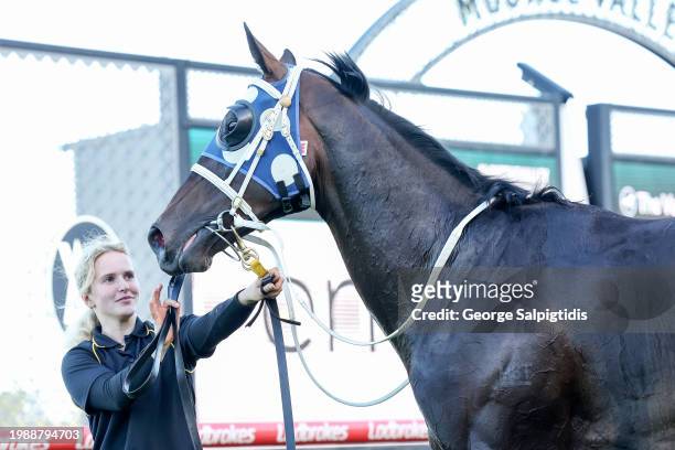 Simeon after winning the The Entry Education Valley Summer Middle Distance Series Heat 1 at Moonee Valley Racecourse on February 09, 2024 in Moonee...