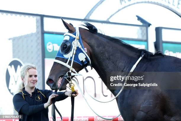 Simeon after winning the The Entry Education Valley Summer Middle Distance Series Heat 1 at Moonee Valley Racecourse on February 09, 2024 in Moonee...