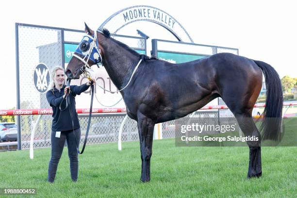 Simeon after winning the The Entry Education Valley Summer Middle Distance Series Heat 1 at Moonee Valley Racecourse on February 09, 2024 in Moonee...