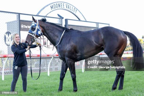 Simeon after winning the The Entry Education Valley Summer Middle Distance Series Heat 1 at Moonee Valley Racecourse on February 09, 2024 in Moonee...