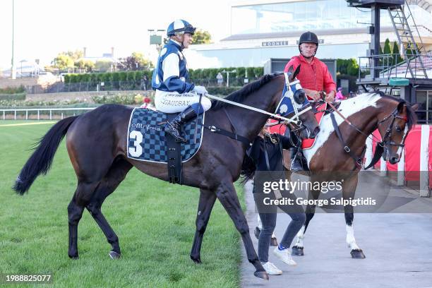 Celine Gaudray returns to the mounting yard aboard Simeon after winning the The Entry Education Valley Summer Middle Distance Series Heat 1 at Moonee...
