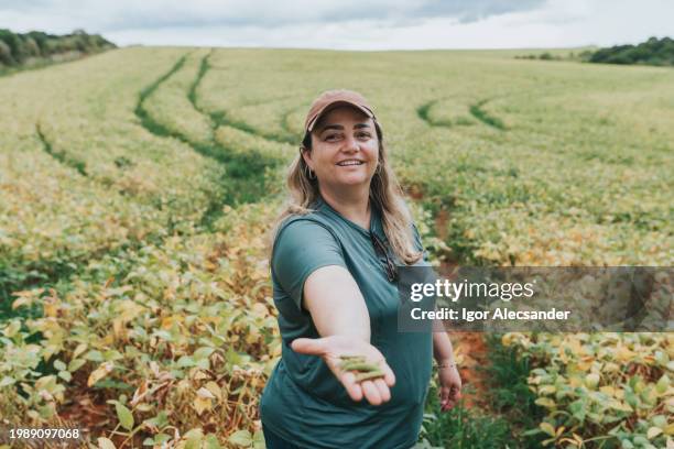 female agronomist showing soybean pods - monoculture stock pictures, royalty-free photos & images