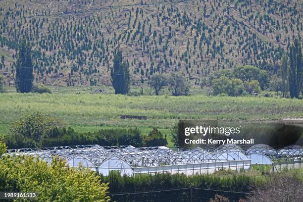 Ruined greenhouses and orchards in the Esk Valley on February 06, 2024 in Napier, New Zealand. Cyclone Gabrielle, which hit Hawke's Bay between Feb....