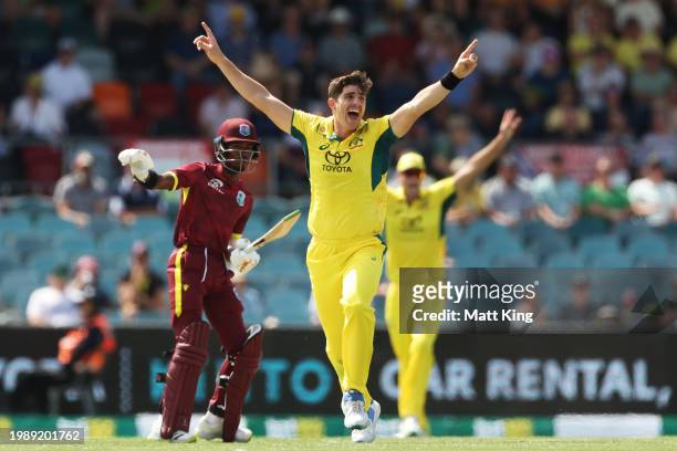 Sean Abbott of Australia celebrates taking the wicket of Shai Hope of the West Indies during game three of the Men's One Day International match...