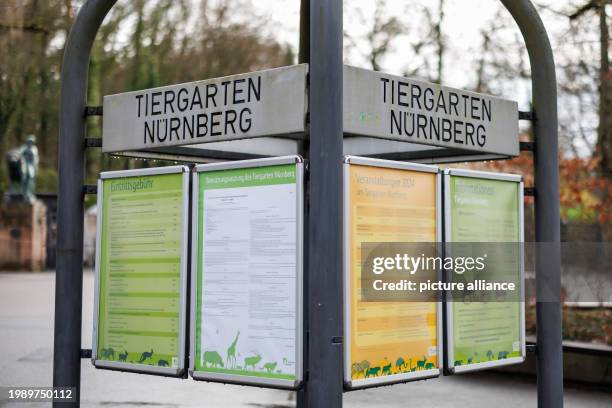 February 2024, Bavaria, Nuremberg: The words "Nuremberg Zoo" can be seen at the entrance to the zoo. In future, Nuremberg Zoo wants to kill...