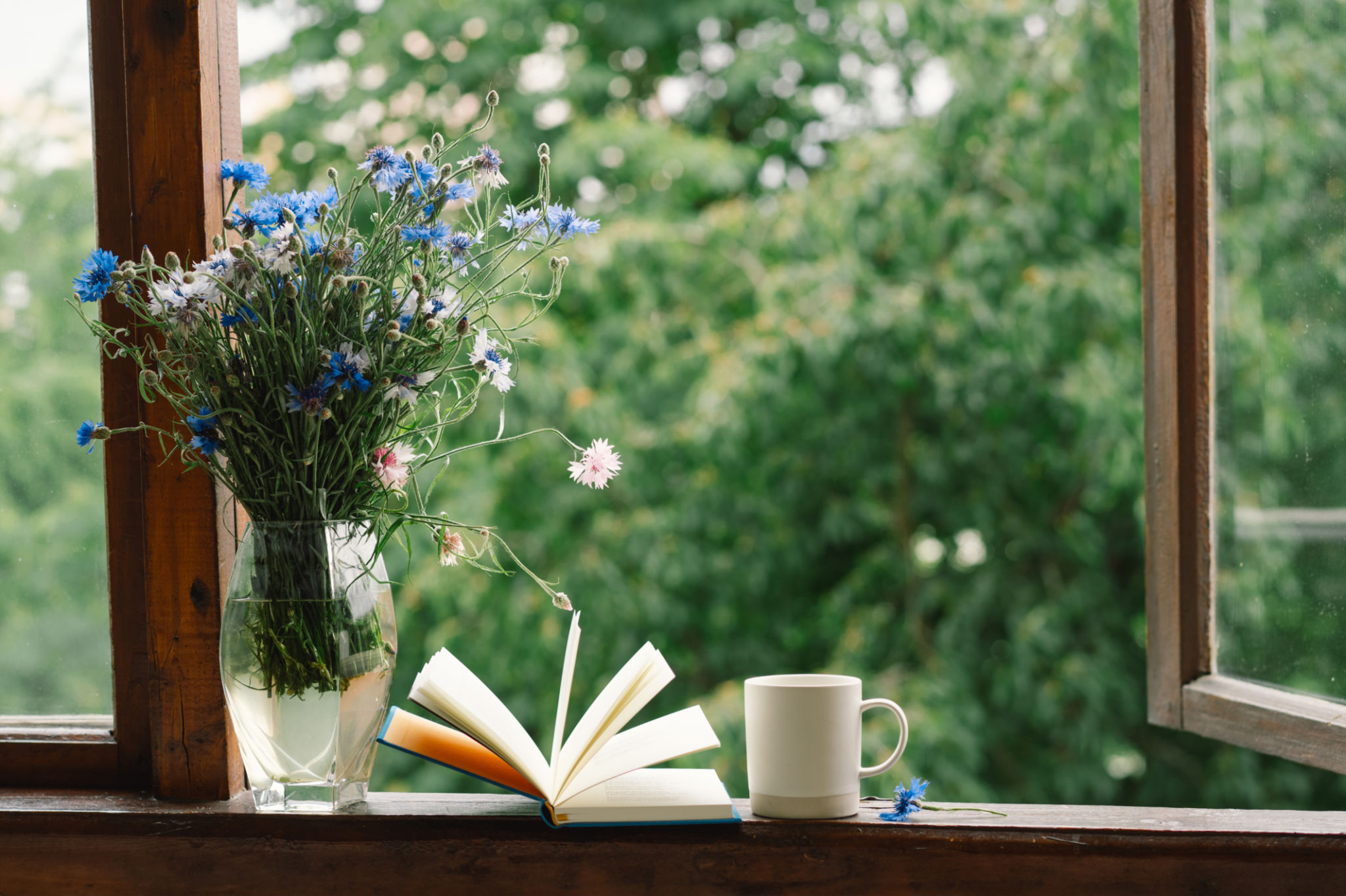 spring books
