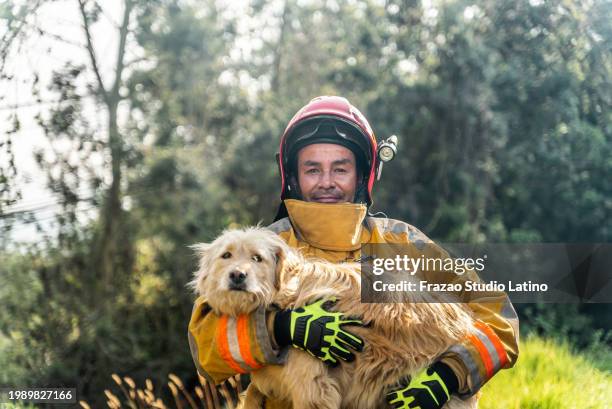 porträt eines reifen feuerwehrmanns, der einen geretteten hund im freien hält - befreiung stock-fotos und bilder