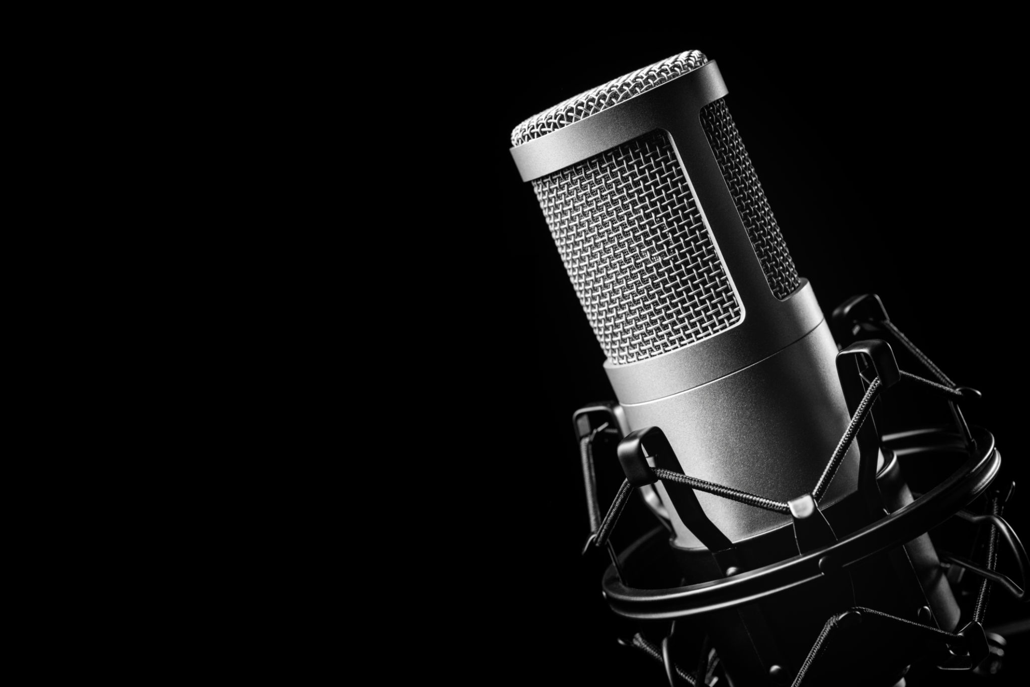 voiceover microphone