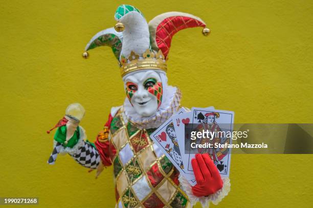 Masked reveler poses for a portrait at the island of Burano during the Venice Carnival 2024 on February 06, 2024 in Venice, Italy. The Venice...