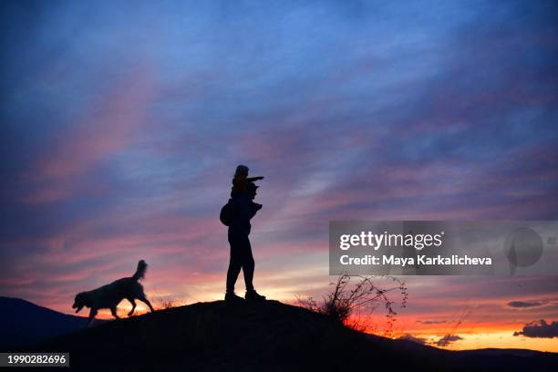 silhouette of father and son on a walk at dusk - pet silhouette stock pictures, royalty-free photos & images