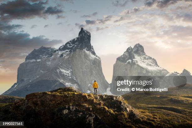 hiker admiring the cuernos del paine range, patagonia - montagne photos et images de collection