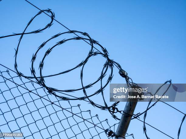 close-up of metal fence with barbed wire over a blue sky. - border free stock pictures, royalty-free photos & images