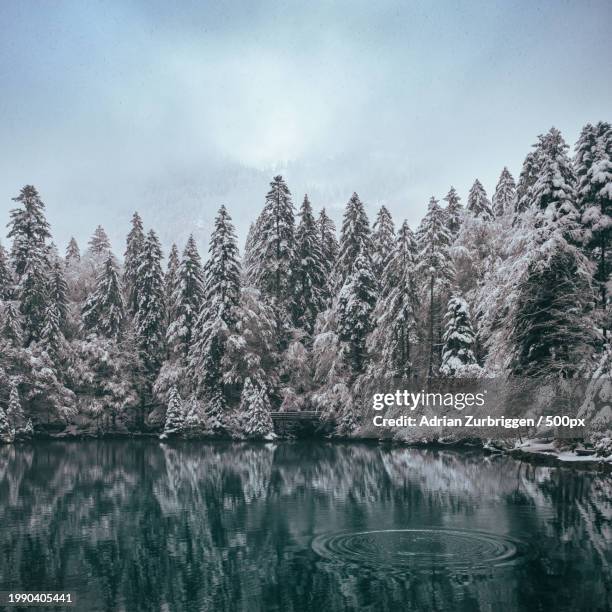 scenic view of lake against sky during winter - blausee stock-fotos und bilder