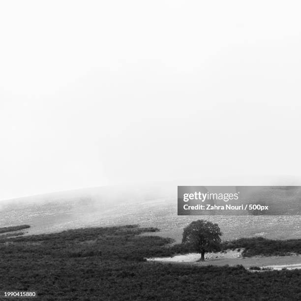 scenic view of field against sky during foggy weather,asalem,gilan,iran - nouri stock pictures, royalty-free photos & images
