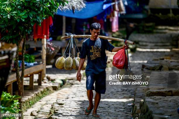 This picture taken on January 25, 2024 shows a member of the Indigenous Baduy tribe carrying durian fruit in Kanekes Village in Lebak, Banten...