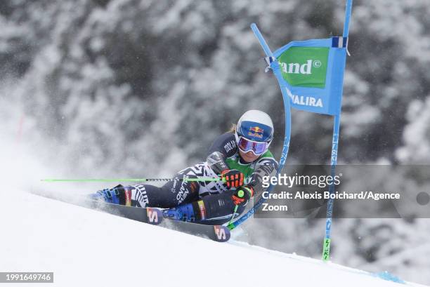 Alice Robinson of Team New Zealand in action during the Audi FIS Alpine Ski World Cup Women's Giant Slalom on February 10, 2024 in Soldeu, Andorra.