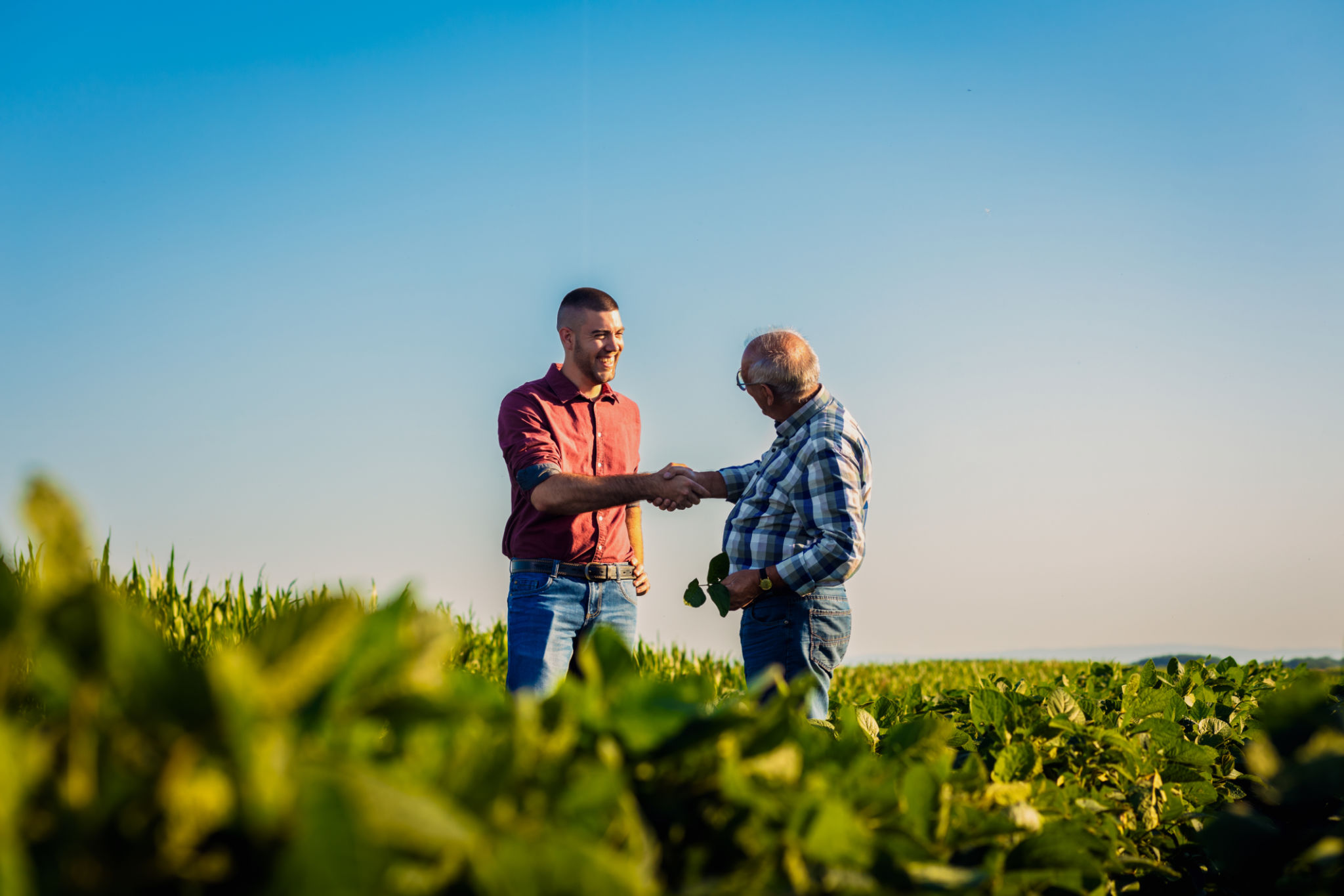 teamwork agriculture