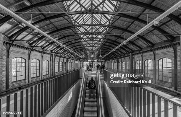 rear view of man on escalator at railroad station berlin bellevue - reinhard krull stock pictures, royalty-free photos & images