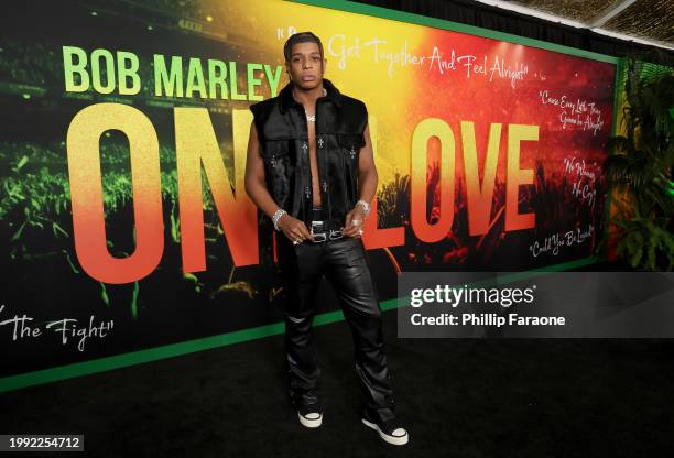 David Kerr attends the Los Angeles Premiere of "Bob Marley: One Love" at Regency Village Theatre on February 06 in Los Angeles, California.