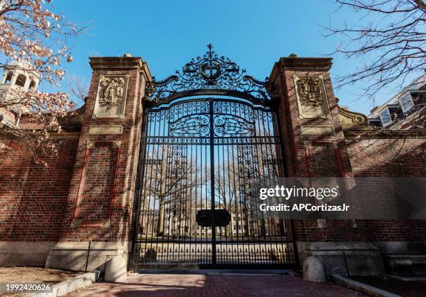 johnston gate - harvard yard - harvard university - cambridge massachusetts - harvard university gate stock pictures, royalty-free photos & images