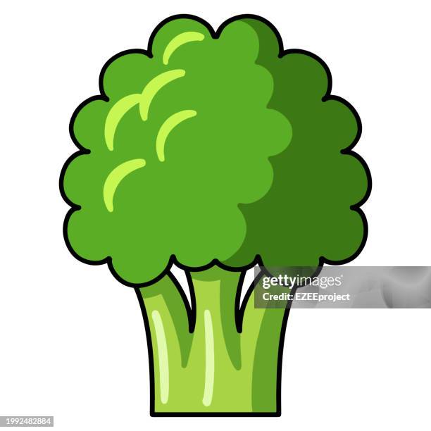 broccoli hand drawn vector illustration - broccoli isolated stock illustrations