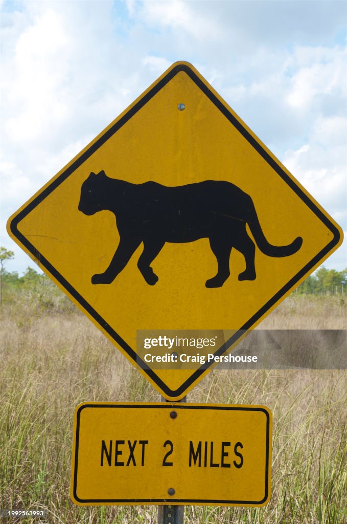 Road sign warning of panthers, in Everglades National Park.