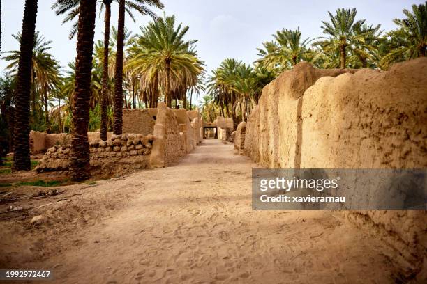 ancient path and mudbrick walls running through al-ula oasis - mada'in saleh stock pictures, royalty-free photos & images