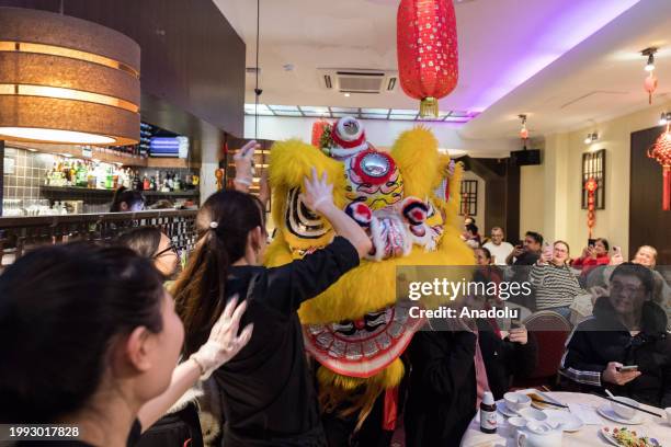 Dancers in traditional Lion costumes visit local restaurant in Chinatown in celebration of the arrival of the Year of the Dragon in London, United...