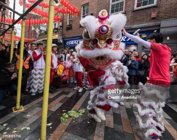 Dancers in traditional Lion costumes perform among the crowds in Chinatown in celebration of the arrival of the Year of the Dragon in London, United...