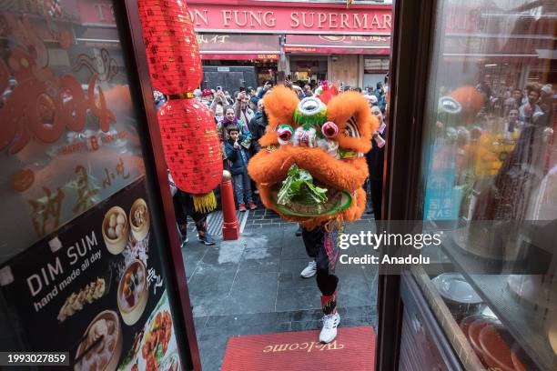 Chinese lion spits the lettuce back out at the business owner, which symbolizes blessing him with wealth and prosperity in celebration of the arrival...