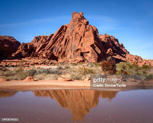 valley of fire mountain and reflection - red rocks stock pictures, royalty-free photos & images