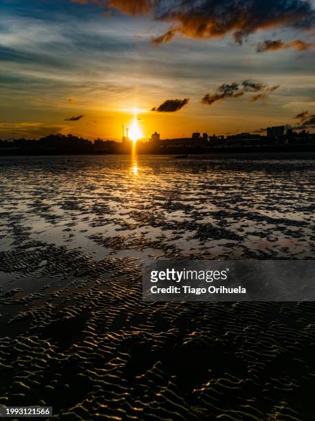 sunset at low tide of the amazon river - amarelo fotografías e imágenes de stock