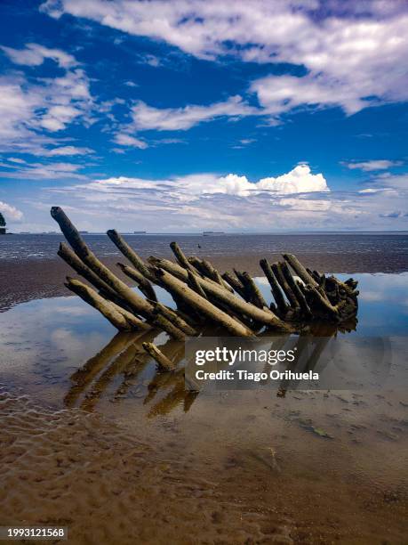 sunset at low tide of the amazon river - molhado stock pictures, royalty-free photos & images