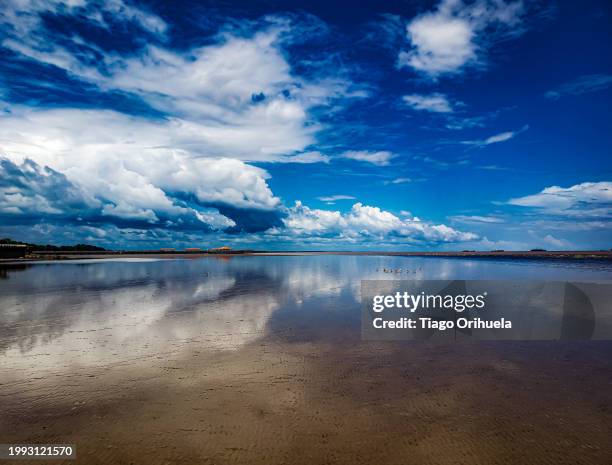 sunset at low tide of the amazon river - azul celeste stock pictures, royalty-free photos & images