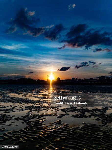 sunset at low tide of the amazon river - amarelo fotografías e imágenes de stock