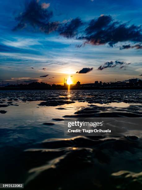 sunset at low tide of the amazon river - amarelo fotografías e imágenes de stock