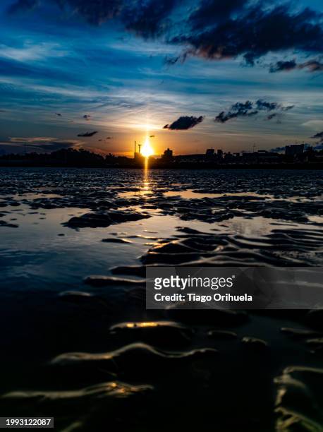 sunset at low tide of the amazon river - marrom 個照片及圖片檔