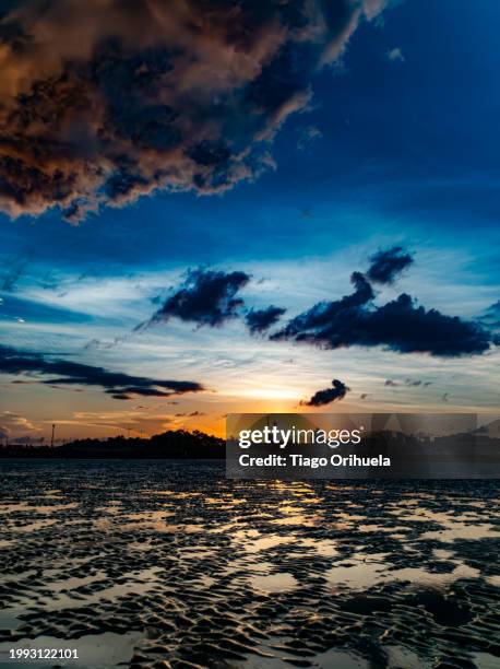 sunset at low tide of the amazon river - marrom stock-fotos und bilder