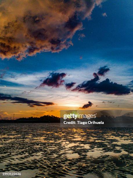 sunset at low tide of the amazon river - marrom stock-fotos und bilder