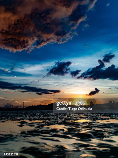 sunset at low tide of the amazon river - marrom stock-fotos und bilder