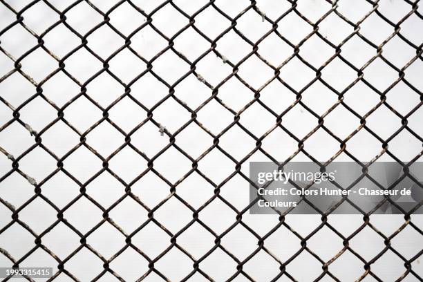 close-up of a weathered metal fence with a white wall in the background. sunlight. natural colors. montreal, quebec, canada. - valla de alambre fotografías e imágenes de stock