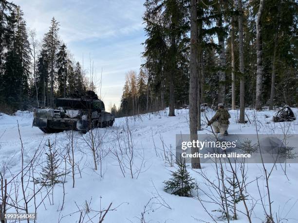 February 2024, Estonia, Tapa: A soldier positions himself in the forest next to a British Challenger 2 main battle tank. During a winter exercise in...