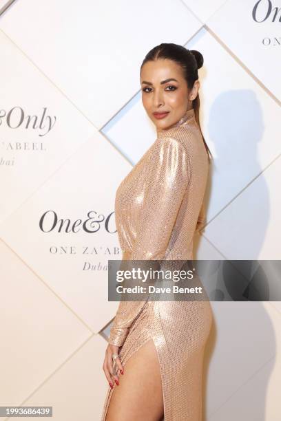 Malaika Arora poses on the red carpet at the One&Only One Za'abeel Grand Opening at Aelia on February 10, 2024 in Dubai, United Arab Emirates.