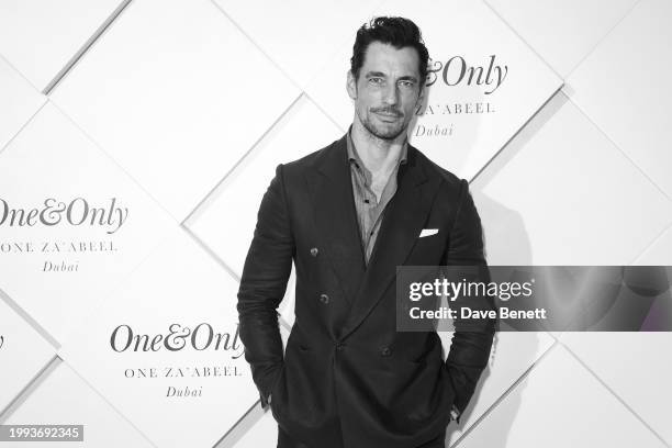 David Gandy poses on the red carpet at the One&Only One Za'abeel Grand Opening at Aelia on February 10, 2024 in Dubai, United Arab Emirates.