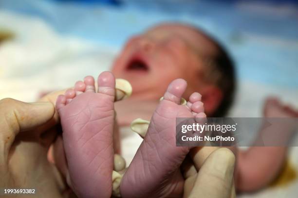 Maternity Department of Maternal and Child Health Hospital, News Photo