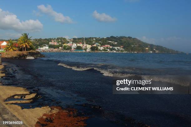 View of the oil spill at Rockly Bay in Tobago island, Trinidad and Tobago, on February 10, 2024. An oil spill caused by a mysterious ship that ran...