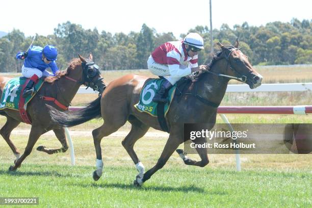 Banana Split ridden by John Keating wins the Stavely Park Merino Stud Maiden Plate at Ararat Racecourse on February 11, 2024 in Ararat, Australia.