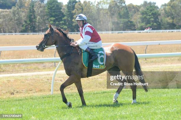 John Keating returns to scale on Banana Split after winning the Stavely Park Merino Stud Maiden Plate at Ararat Racecourse on February 11, 2024 in...