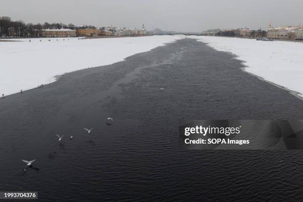 Birds fly along the frozen Great Neva River on a frosty day in St. Petersburg.