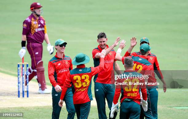 Beau Webster of Tasmania celebrates with team mates after taking the wicket of Matthew Renshaw of Queensland during the Marsh One Day Cup match...